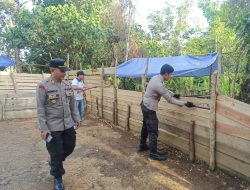 Operasi Pekat 2023: Polsek Dedai Gerebek Arena Judi Sabung Ayam