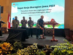 Kawal Pemulihan Hutan dan Lingkungan, KLHK Gelar Rakor Ekoregion Jawa Tahun 2023