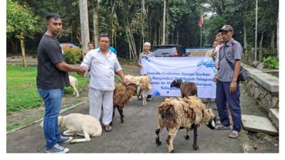 Tirta Kahuripan Bagikan Hewan Qurban di Lingkungan Perusahaan