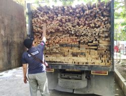 Gakkum KLHK Tangkap Pelaku Illegal Logging di Sumatera Barat