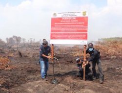 Gakkum KLHK Segel Lokasi Karhutla pada 4 Perusahaan di Kalbar