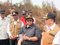 Menteri LHK Harapkan Karhutla di Sumsel Segera Berakhir