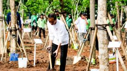 Presiden Jokowi Ajak Masyarakat Tanam Pohon Atasi Perubahan Iklim dan Polusi Udara