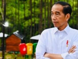 Hari Ini, Presiden Jokowi Mulai Berkantor di IKN