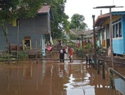 193 Kepala Keluarga Terdampak Akibat Banjir di di Kabupaten Sanggau