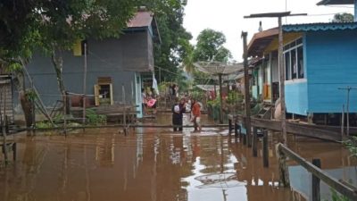 193 Kepala Keluarga Terdampak Akibat Banjir di di Kabupaten Sanggau