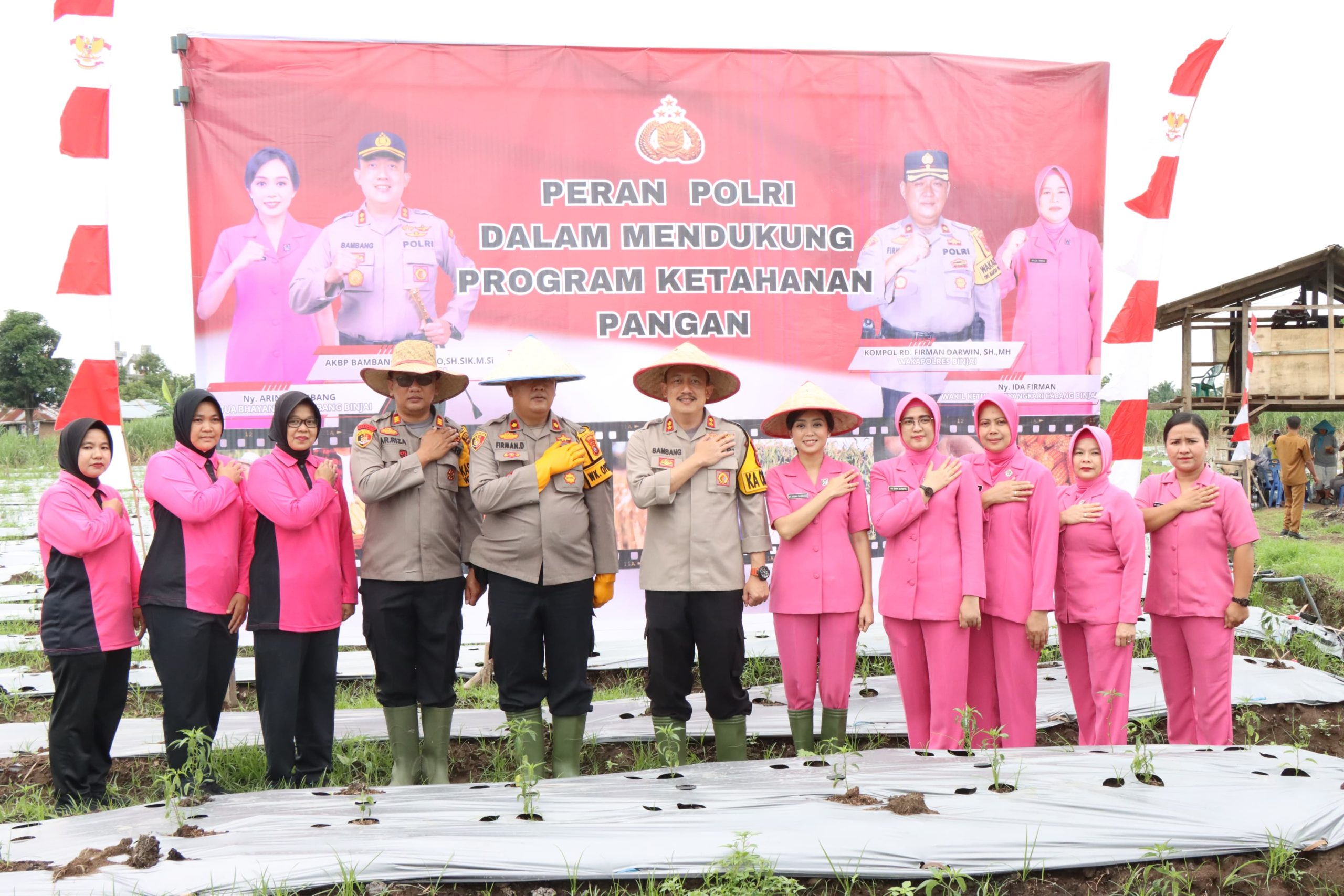 Kapolres Binjai Lakukan Penanaman Cabai Dukung Program Presiden Dalam Ketahanan Pangan