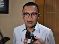 Menteri PPMI: Lebih Lima Juta Pekerja Imigran Ilegal Bekerja di Luar Negeri